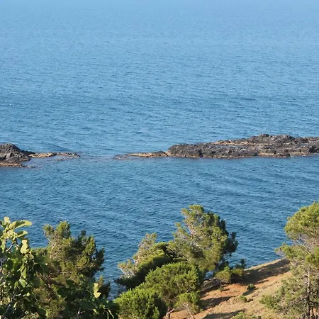 Vue El Farniente Διαμέρισμα Cerbère